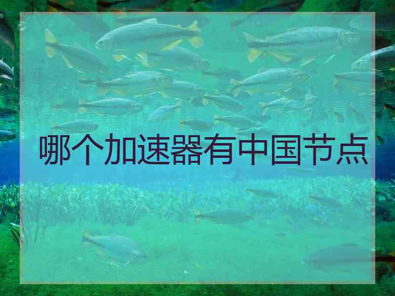 哪个加速器有中国节点