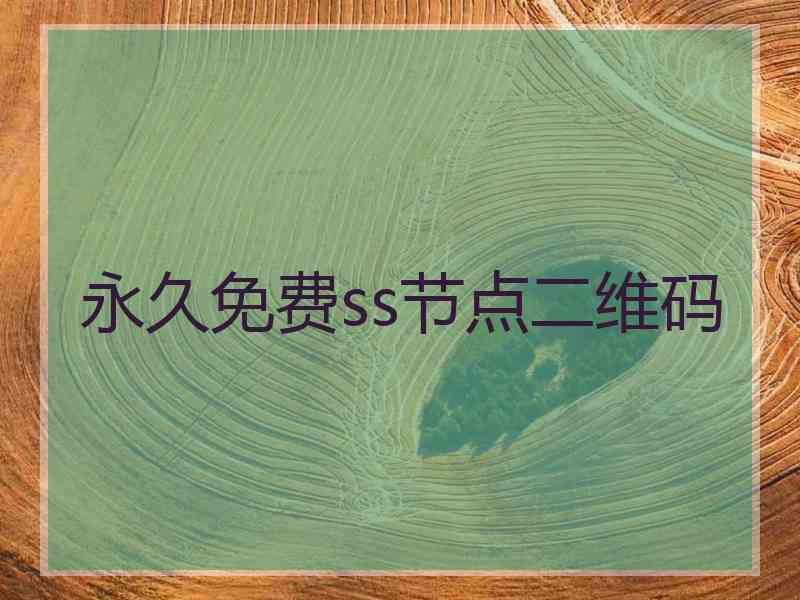 永久免费ss节点二维码