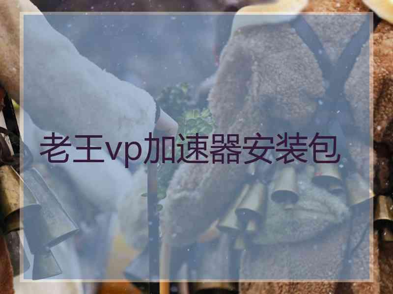 老王vp加速器安装包