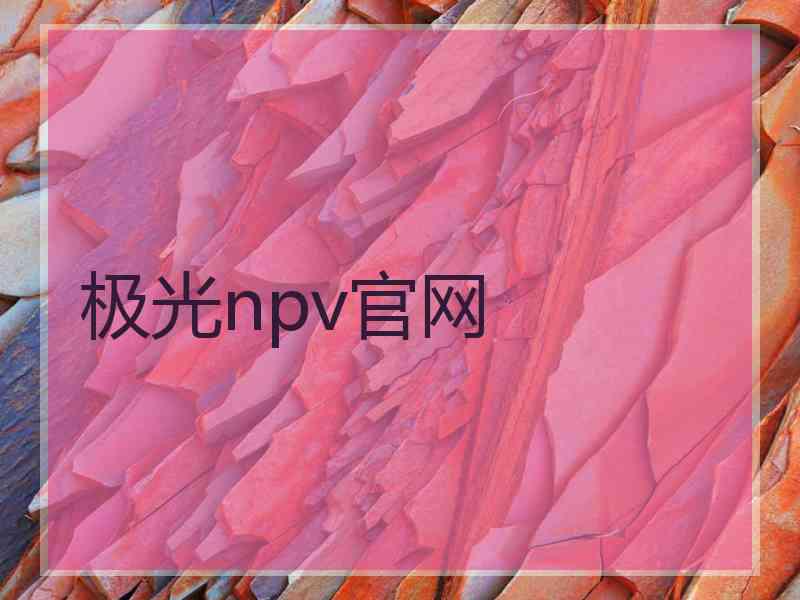 极光npv官网