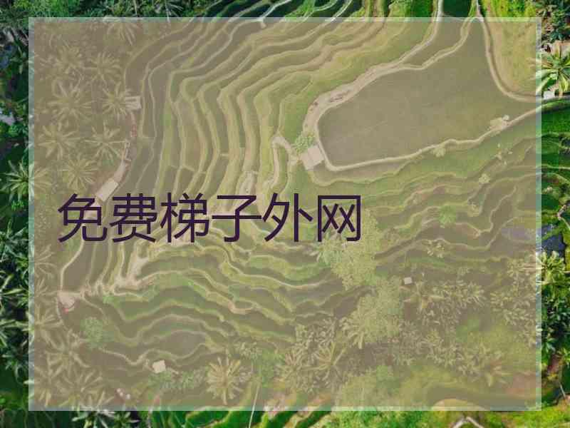 免费梯子外网