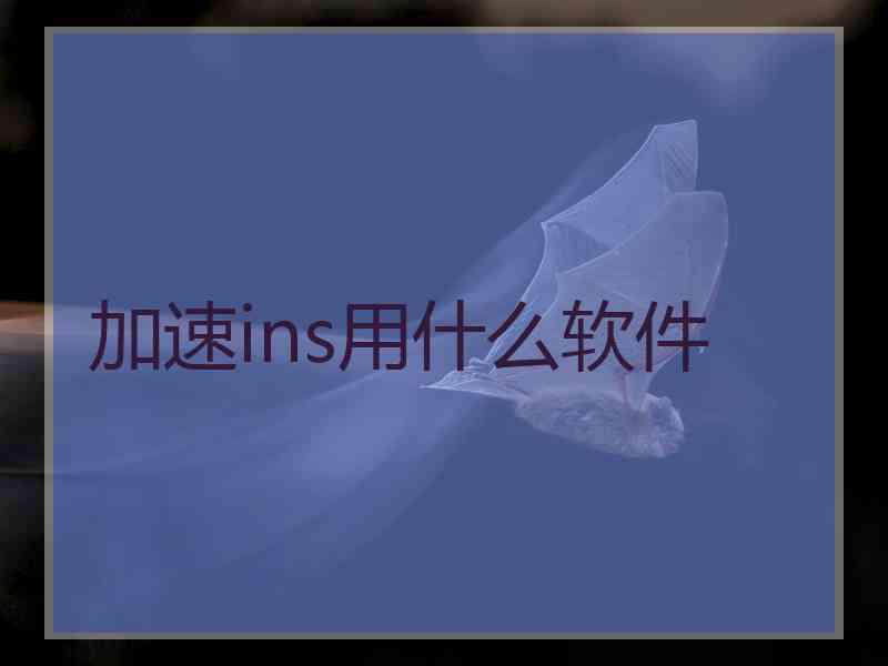 加速ins用什么软件
