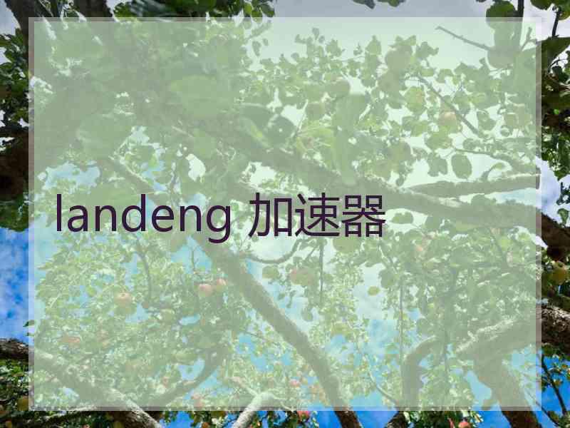 landeng 加速器