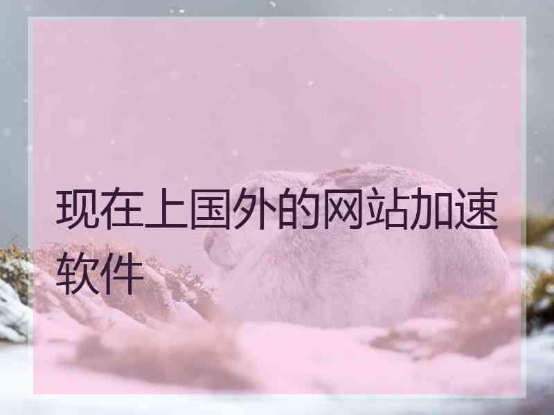 现在上国外的网站加速软件