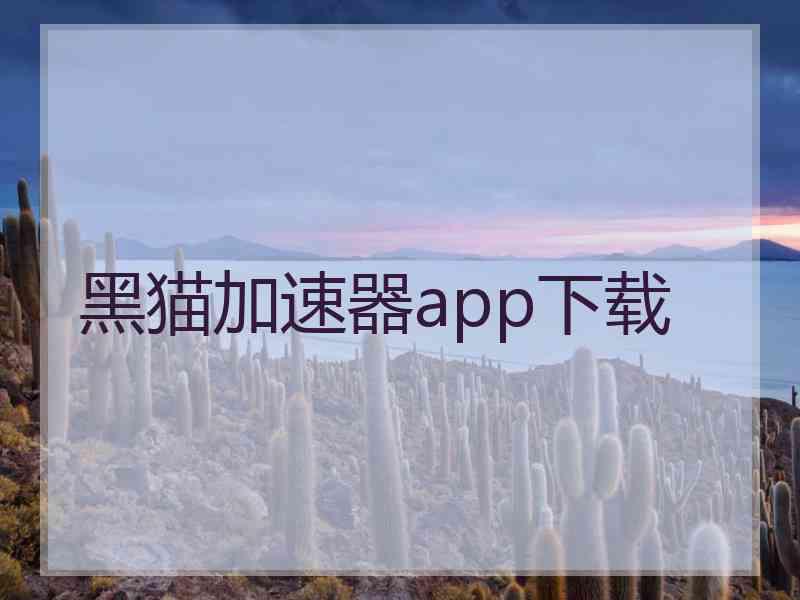黑猫加速器app下载