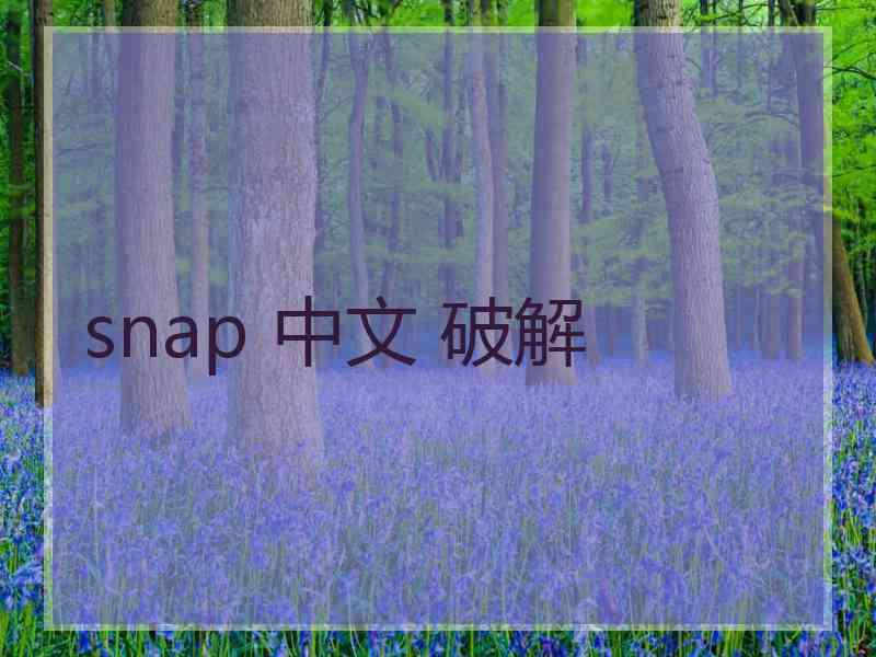 snap 中文 破解