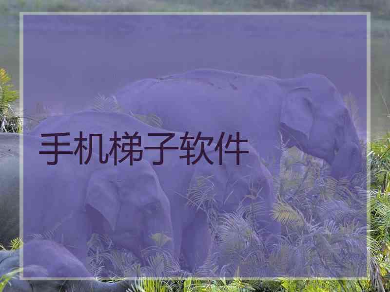 手机梯子软件