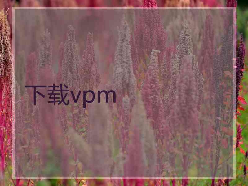 下载vpm