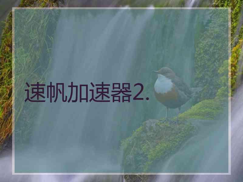 速帆加速器2.