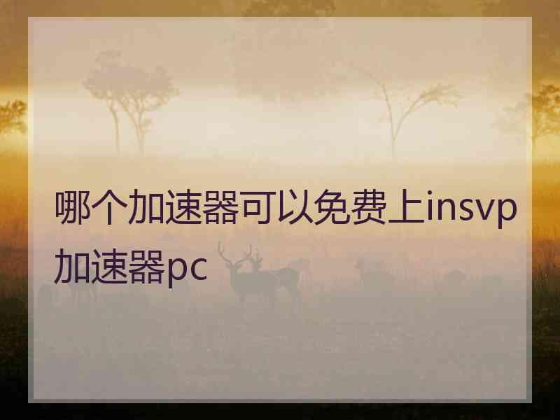 哪个加速器可以免费上insvp加速器pc