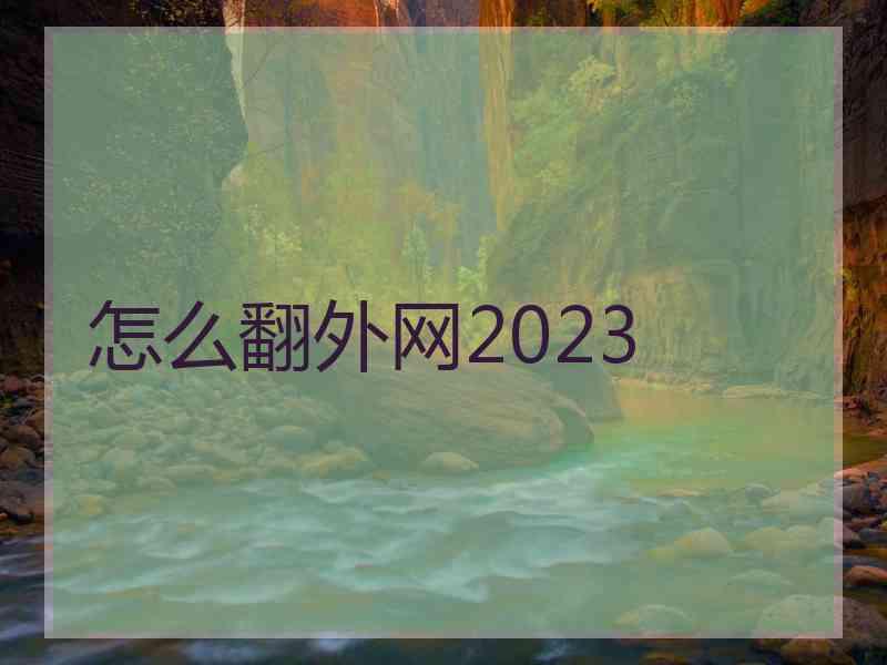 怎么翻外网2023