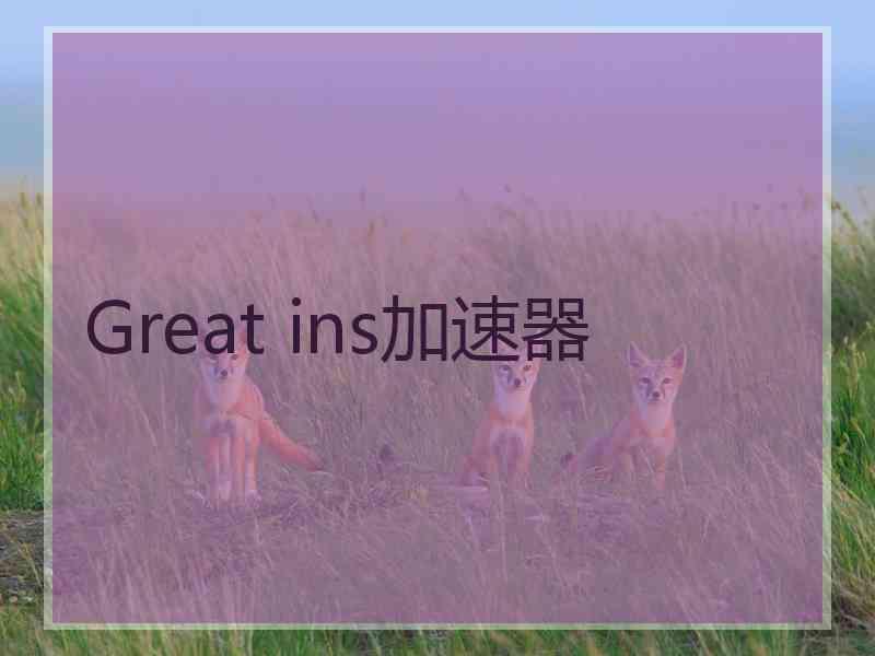 Great ins加速器