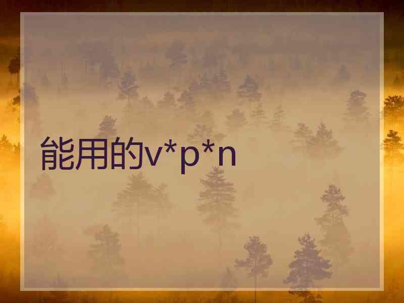 能用的v*p*n