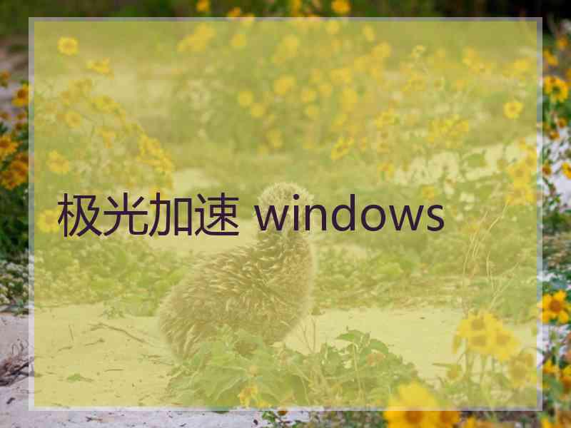 极光加速 windows