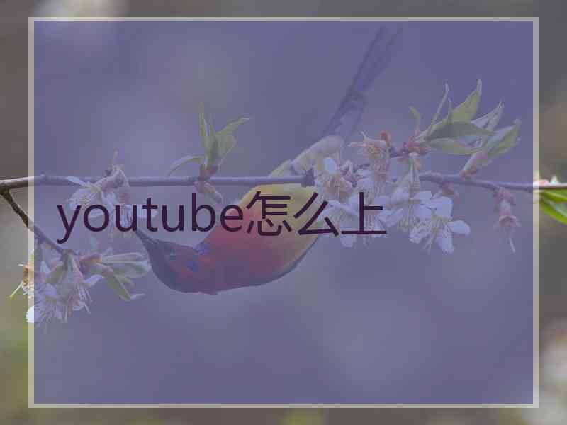 youtube怎么上
