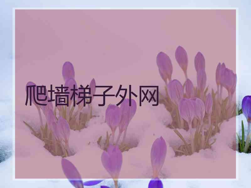 爬墙梯子外网