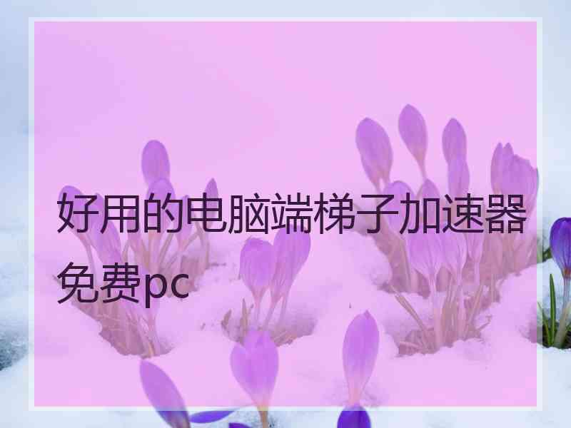 好用的电脑端梯子加速器免费pc