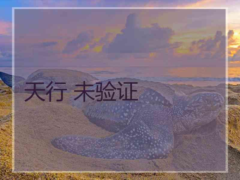 天行 未验证