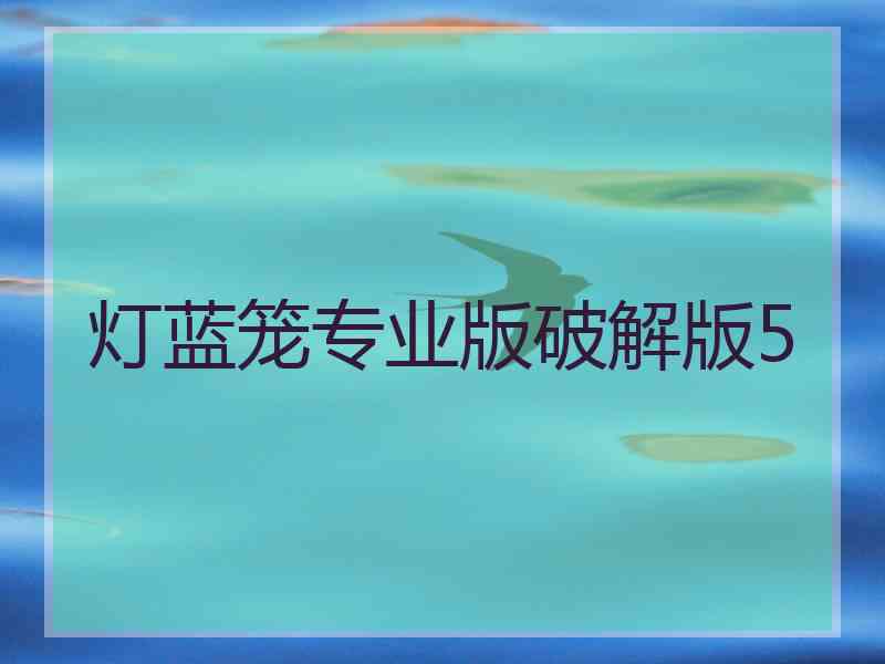 灯蓝笼专业版破解版5
