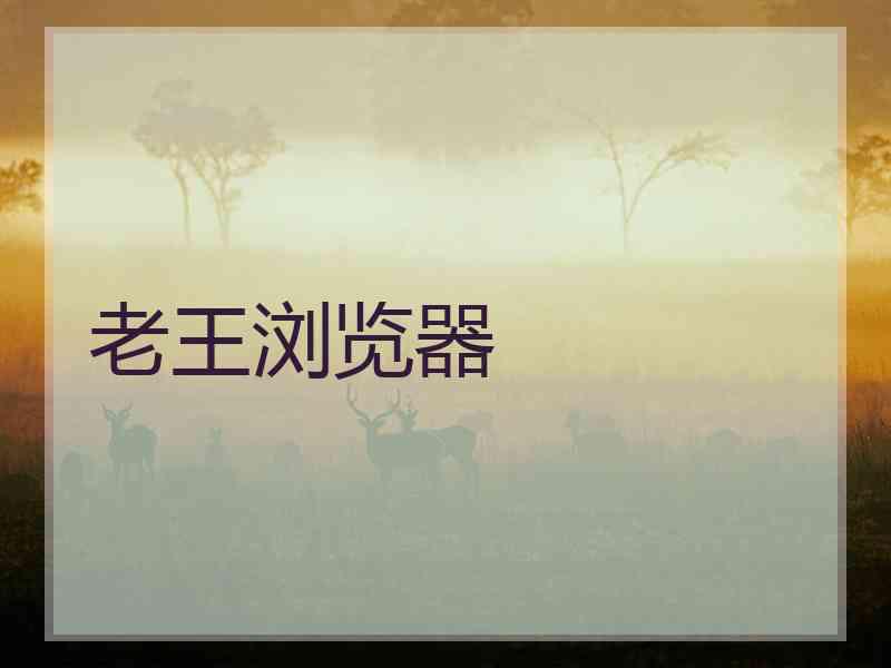 老王浏览器