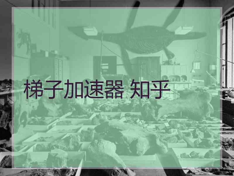 梯子加速器 知乎