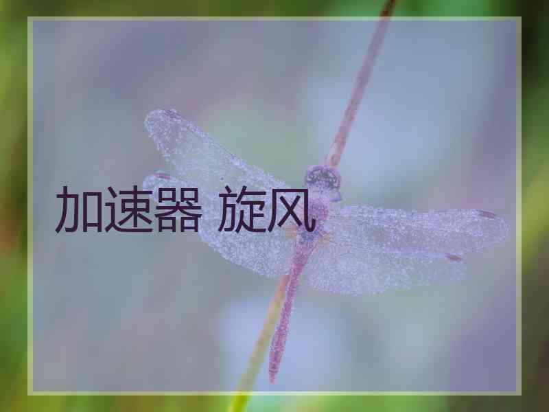 加速器 旋风