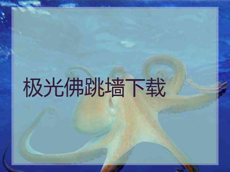 极光佛跳墙下载