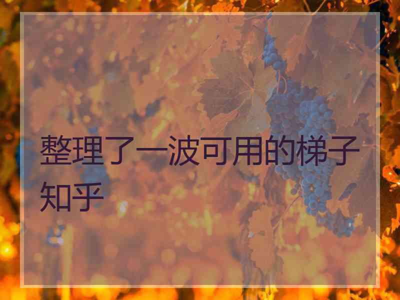 整理了一波可用的梯子知乎