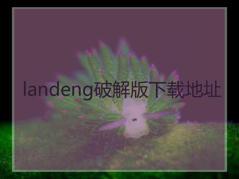 landeng破解版下载地址