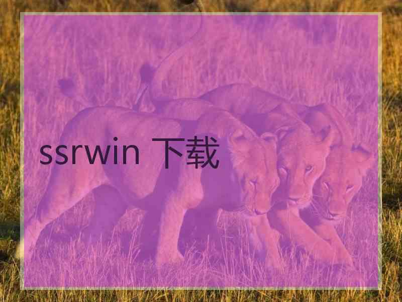 ssrwin 下载