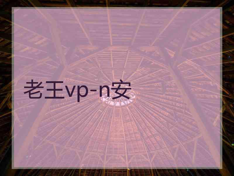 老王vp-n安