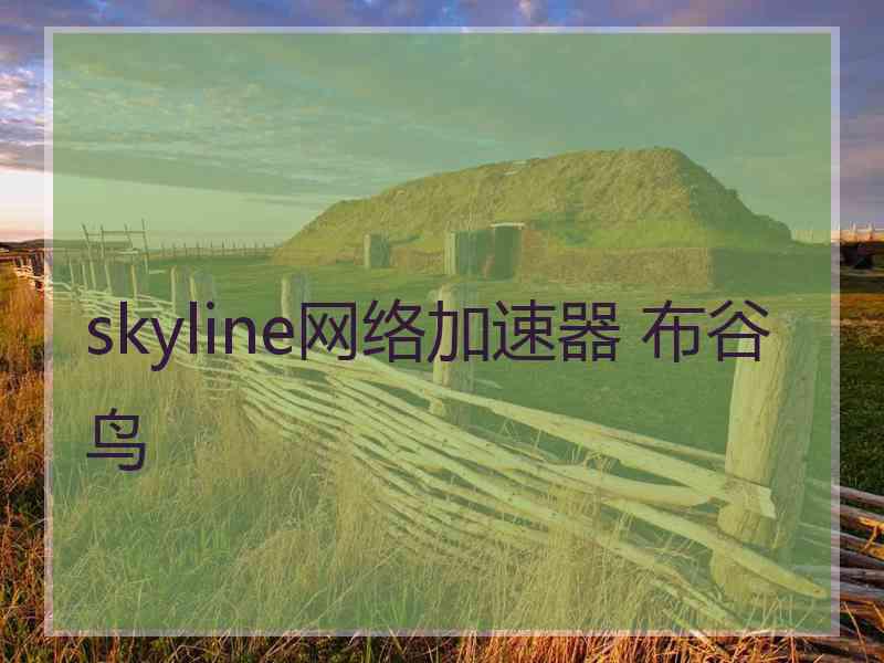 skyline网络加速器 布谷鸟