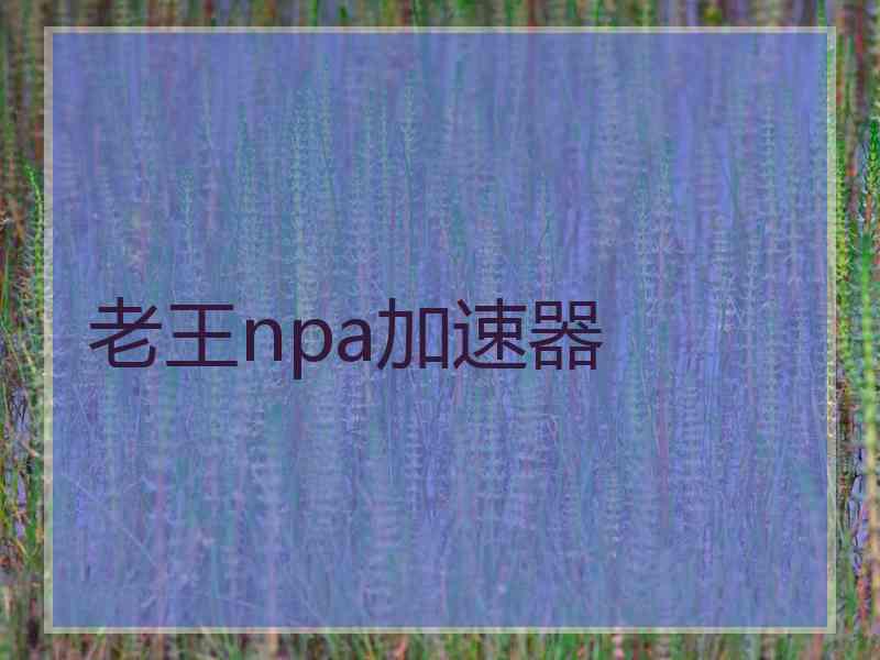 老王npa加速器