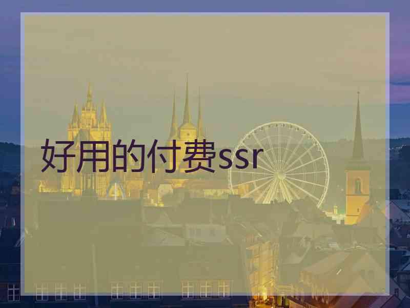 好用的付费ssr