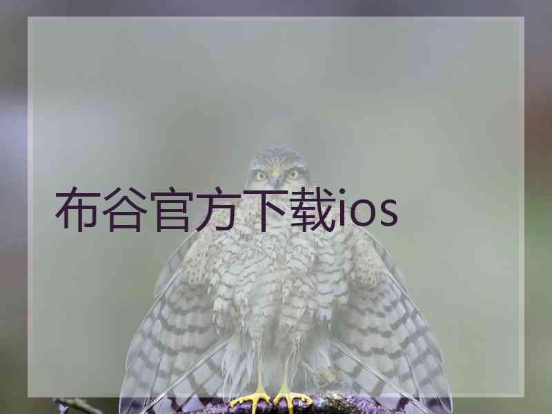 布谷官方下载ios
