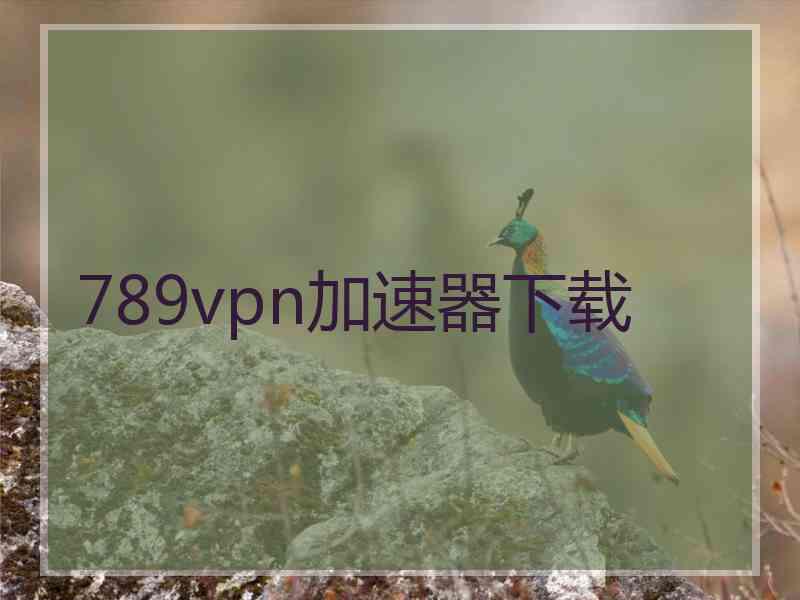 789vpn加速器下载