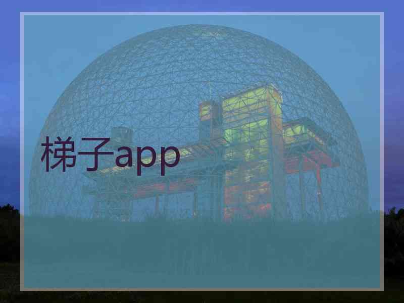 梯子app