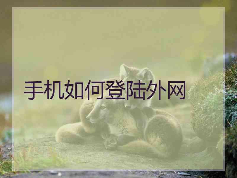 手机如何登陆外网