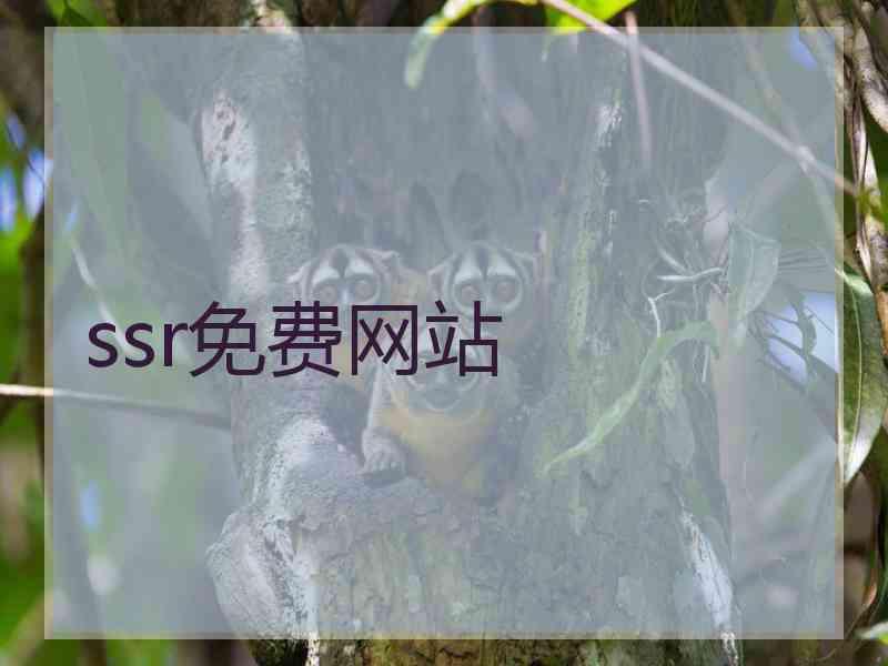 ssr免费网站