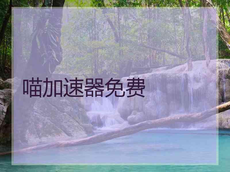 喵加速器免费