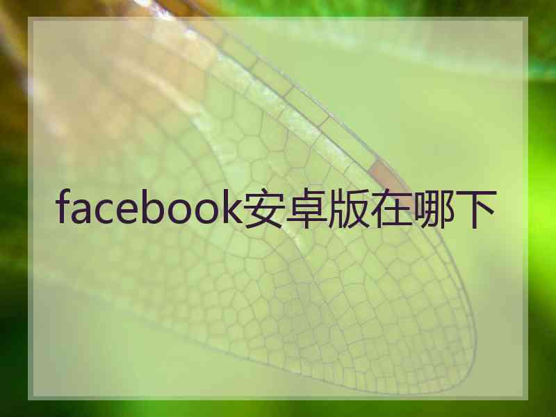 facebook安卓版在哪下