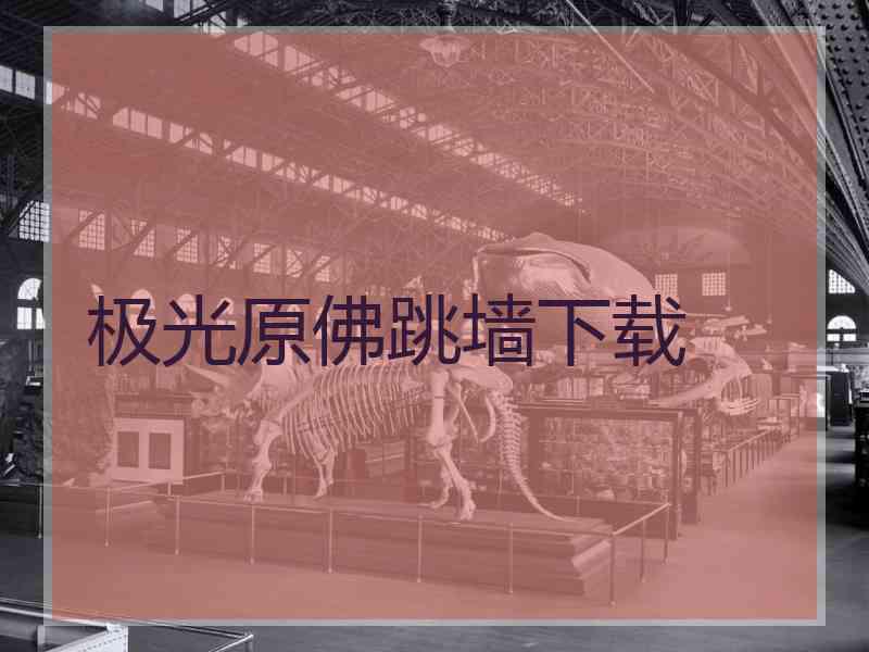 极光原佛跳墙下载