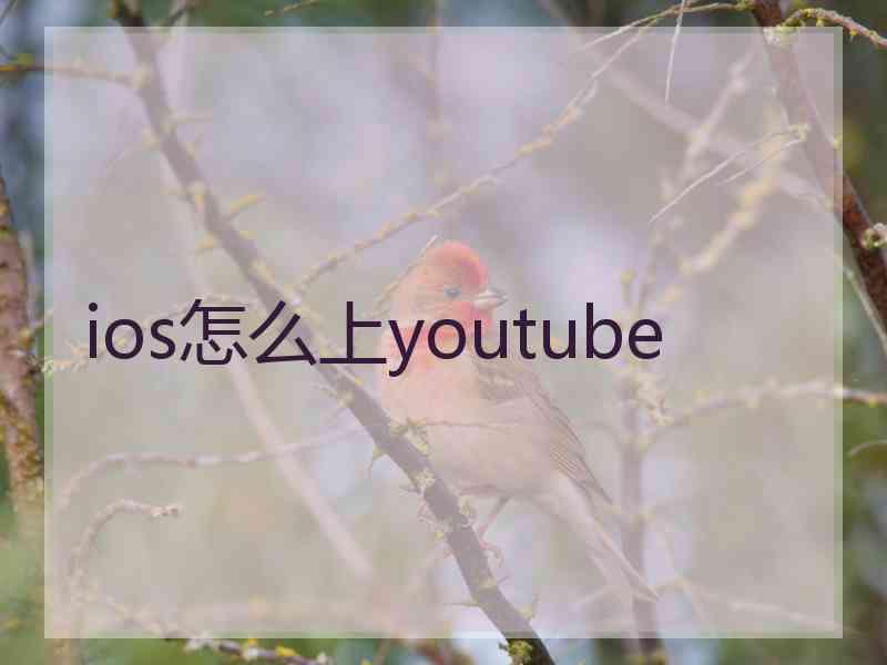 ios怎么上youtube