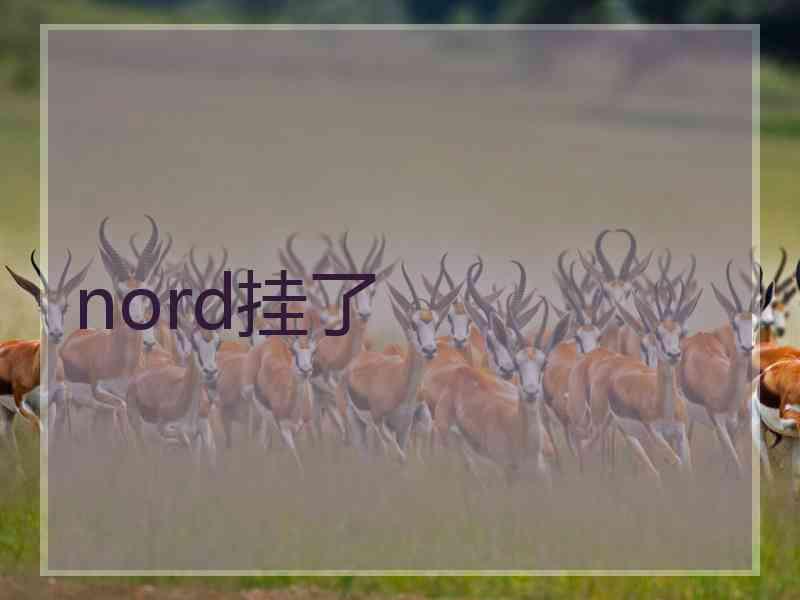nord挂了