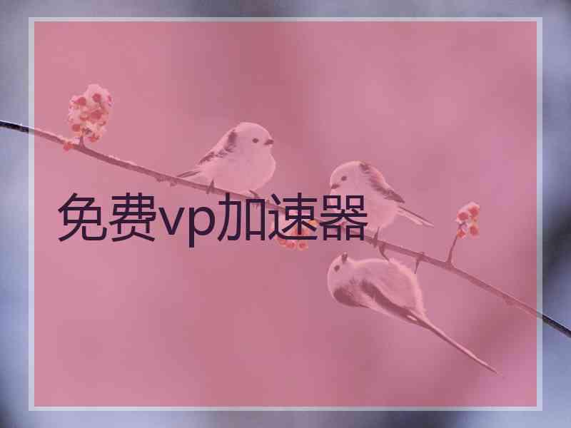 免费vp加速器