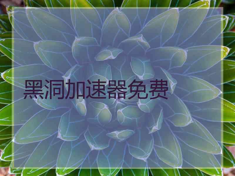 黑洞加速器免费