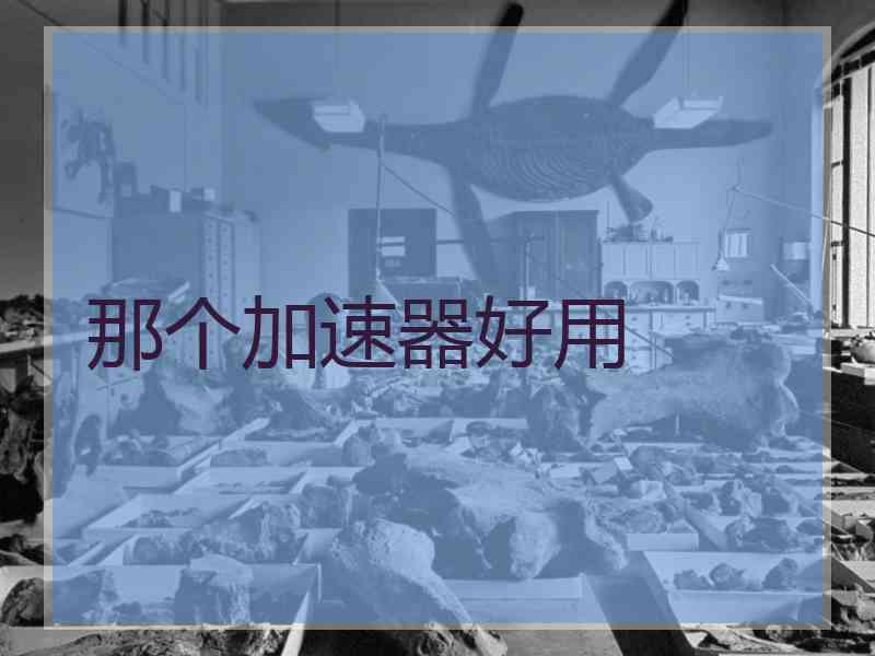 那个加速器好用