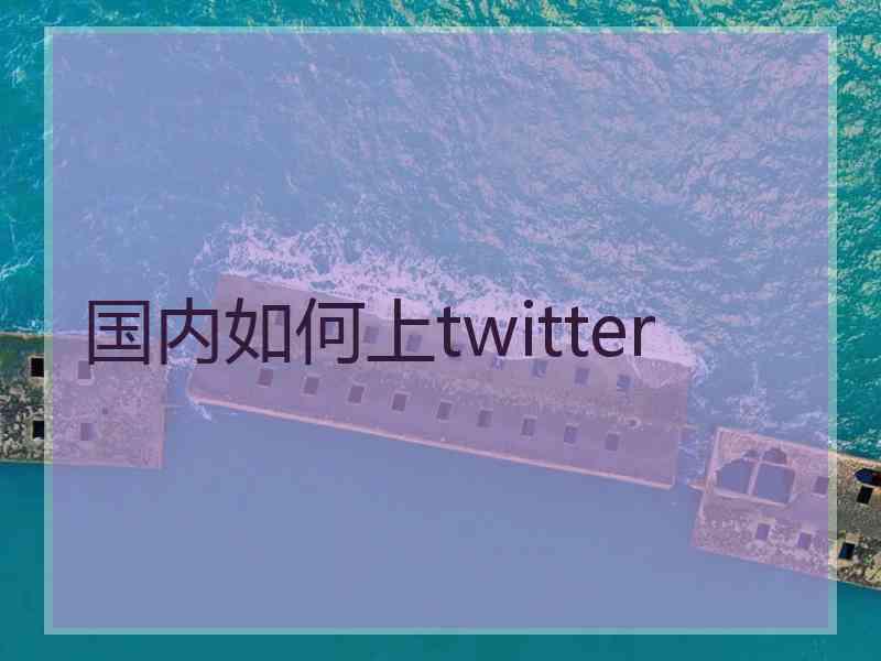 国内如何上twitter