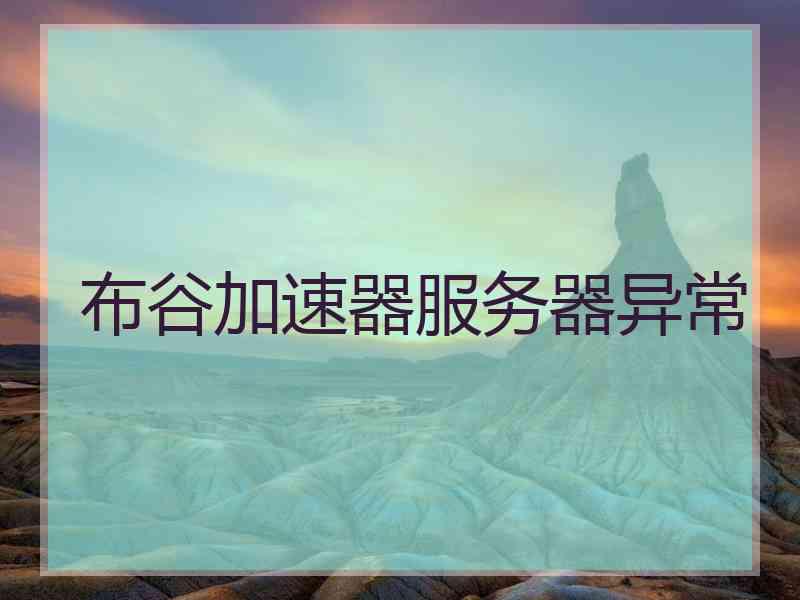 布谷加速器服务器异常