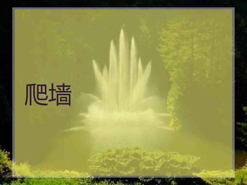爬墙